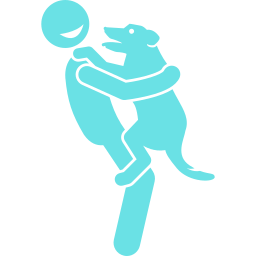 Emotional Support Animal (ESA) Evaluations